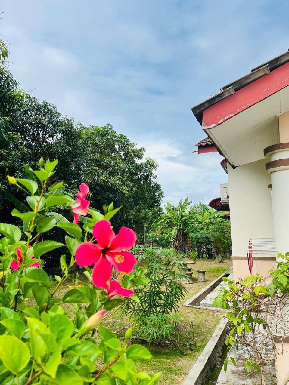 Sofea Homestay ايبوه المظهر الخارجي الصورة